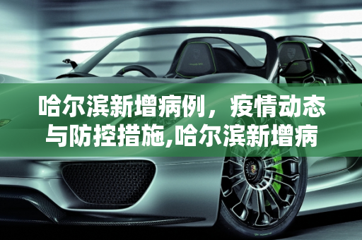 哈尔滨新增病例，疫情动态与防控措施,哈尔滨新增病例