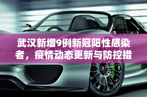 武汉新增9例新冠阳性感染者，疫情动态更新与防控措施,武汉新增新冠阳性感染者9例