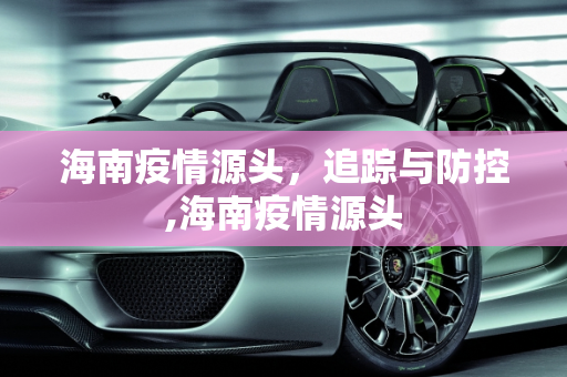 海南疫情源头，追踪与防控,海南疫情源头