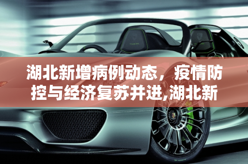湖北新增病例动态，疫情防控与经济复苏并进,湖北新增