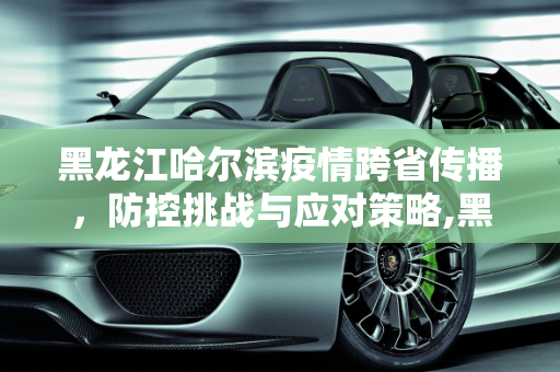 黑龙江哈尔滨疫情跨省传播，防控挑战与应对策略,黑龙江哈尔滨疫情跨省传播