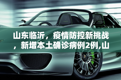 山东临沂，疫情防控新挑战，新增本土确诊病例2例,山东临沂新增本土确诊2例