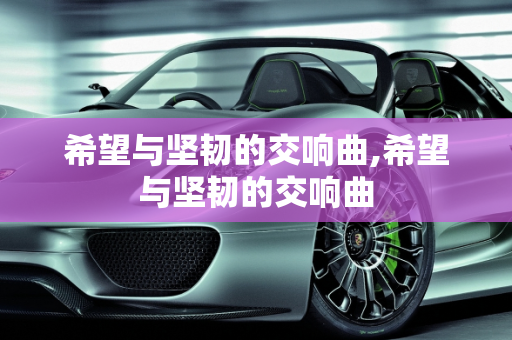 希望与坚韧的交响曲,希望与坚韧的交响曲