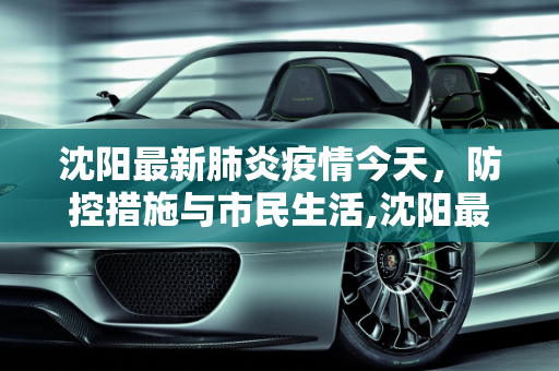 沈阳最新肺炎疫情今天，防控措施与市民生活,沈阳最新肺炎疫情今天