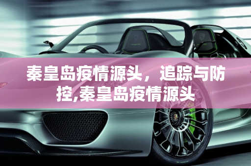 秦皇岛疫情源头，追踪与防控,秦皇岛疫情源头