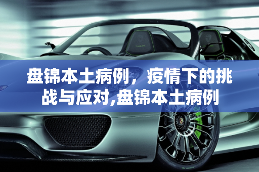 盘锦本土病例，疫情下的挑战与应对,盘锦本土病例