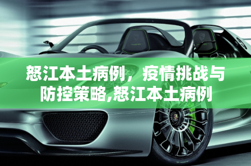 怒江本土病例，疫情挑战与防控策略,怒江本土病例