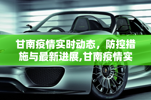 甘南疫情实时动态，防控措施与最新进展,甘南疫情实时动态