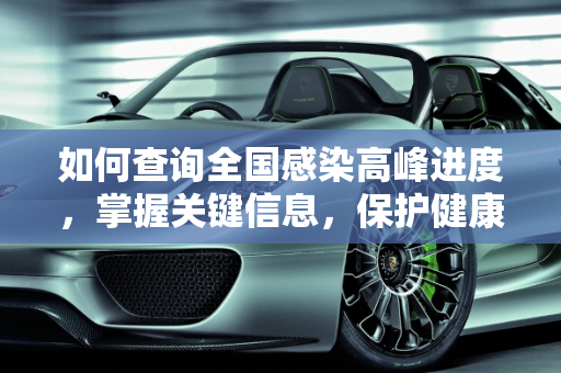 如何查询全国感染高峰进度，掌握关键信息，保护健康安全,全国感染高峰进度怎么查