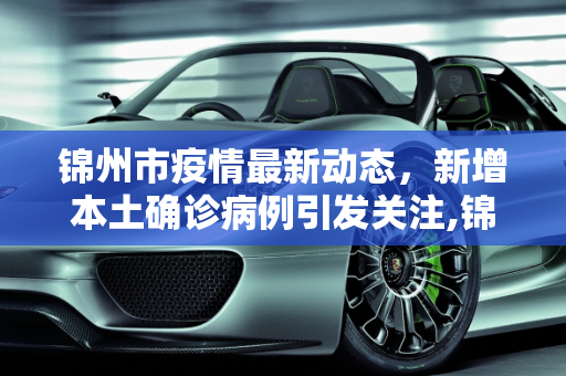 锦州市疫情最新动态，新增本土确诊病例引发关注,锦州新增本土确诊