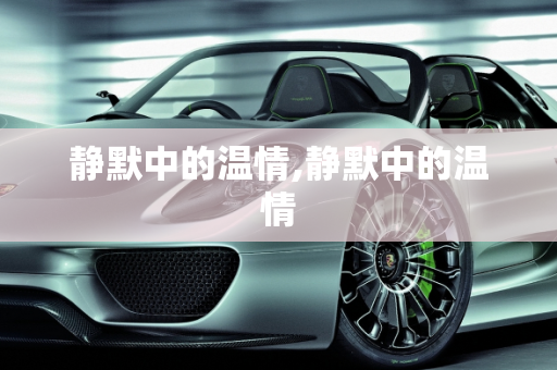 静默中的温情,静默中的温情