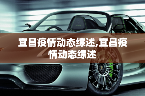 宜昌疫情动态综述,宜昌疫情动态综述