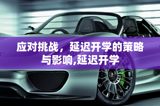 应对挑战，延迟开学的策略与影响,延迟开学