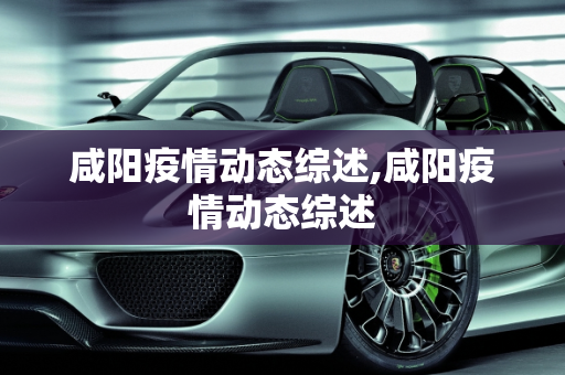 咸阳疫情动态综述,咸阳疫情动态综述