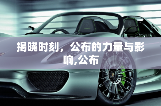 揭晓时刻，公布的力量与影响,公布