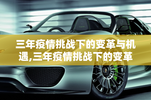 三年疫情挑战下的变革与机遇,三年疫情挑战下的变革与机遇
