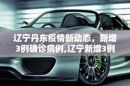 辽宁丹东疫情新动态，新增3例确诊病例,辽宁新增3例确诊均为丹东病例