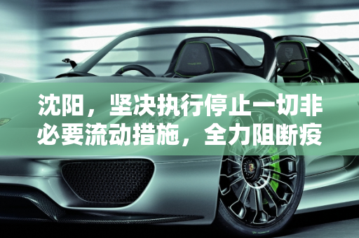 沈阳，坚决执行停止一切非必要流动措施，全力阻断疫情传播,沈阳停止一切非必要流动