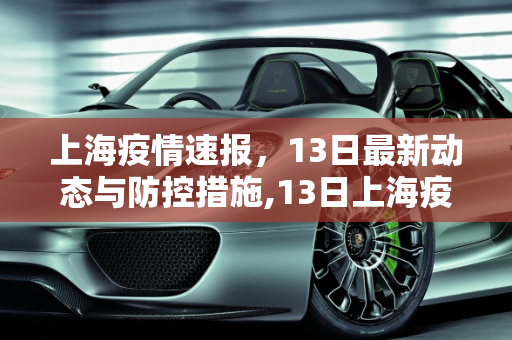 上海疫情速报，13日最新动态与防控措施,13日上海疫情速报