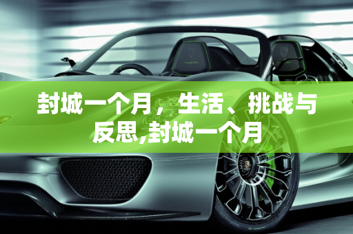 封城一个月，生活、挑战与反思,封城一个月