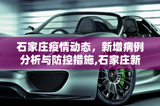 石家庄疫情动态，新增病例分析与防控措施,石家庄新增
