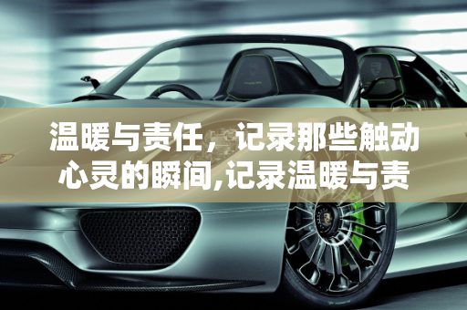 温暖与责任，记录那些触动心灵的瞬间,记录温暖与责任的瞬间