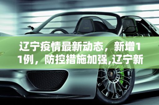 辽宁疫情最新动态，新增11例，防控措施加强,辽宁新增11例