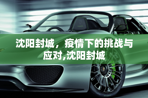 沈阳封城，疫情下的挑战与应对,沈阳封城