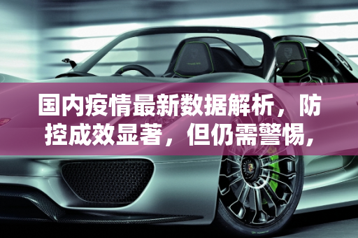 国内疫情最新数据解析，防控成效显著，但仍需警惕,疫情最新数据国内