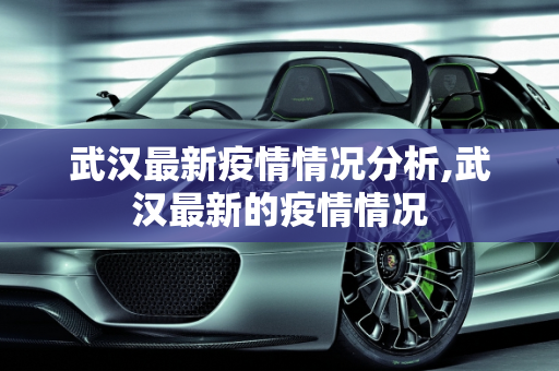 武汉最新疫情情况分析,武汉最新的疫情情况