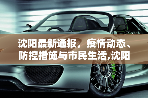 沈阳最新通报，疫情动态、防控措施与市民生活,沈阳最新通报