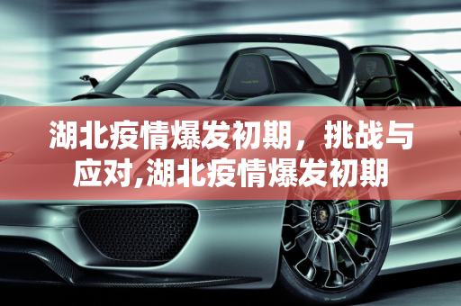 湖北疫情爆发初期，挑战与应对,湖北疫情爆发初期