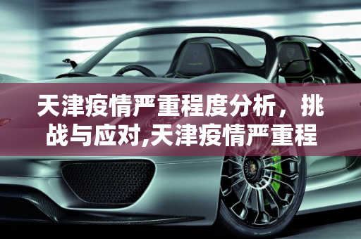 天津疫情严重程度分析，挑战与应对,天津疫情严重程度