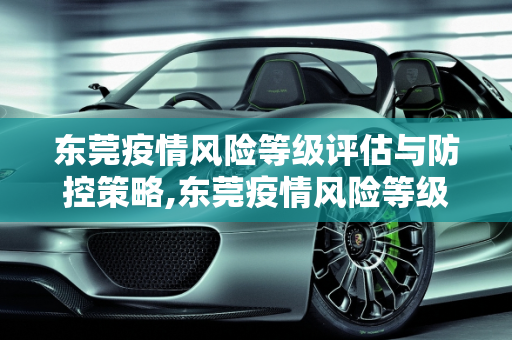 东莞疫情风险等级评估与防控策略,东莞疫情风险等级