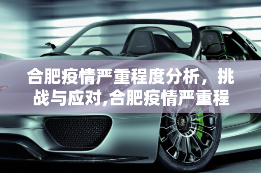 合肥疫情严重程度分析，挑战与应对,合肥疫情严重程度