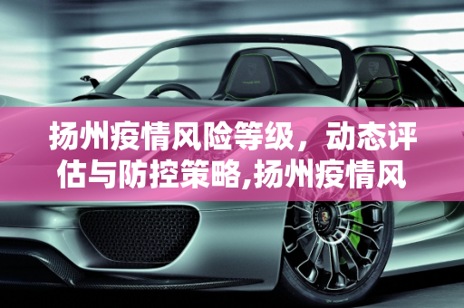 扬州疫情风险等级，动态评估与防控策略,扬州疫情风险等级