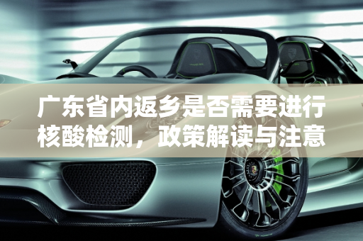 广东省内返乡是否需要进行核酸检测，政策解读与注意事项,广东省内返乡需要做核酸检测吗