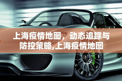 上海疫情地图，动态追踪与防控策略,上海疫情地图