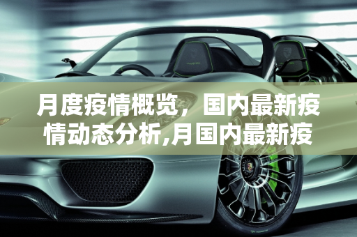 月度疫情概览，国内最新疫情动态分析,月国内最新疫情
