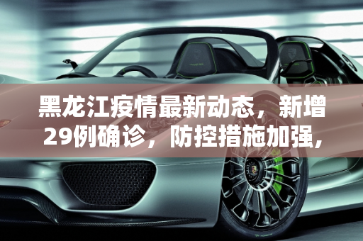 黑龙江疫情最新动态，新增29例确诊，防控措施加强,黑龙江新增29例确诊