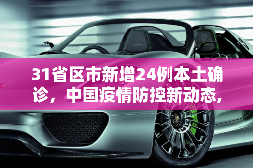 31省区市新增24例本土确诊，中国疫情防控新动态,31省区市新增24例本土确诊