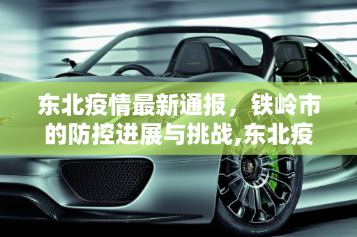 东北疫情最新通报，铁岭市的防控进展与挑战,东北疫情最新通报铁岭