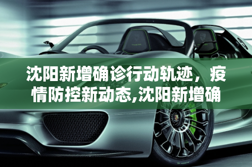 沈阳新增确诊行动轨迹，疫情防控新动态,沈阳新增确诊行动轨迹