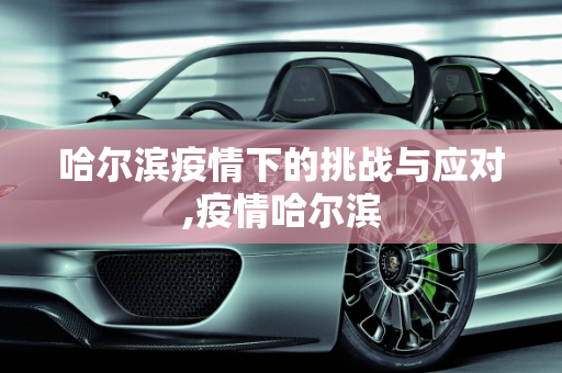 哈尔滨疫情下的挑战与应对,疫情哈尔滨