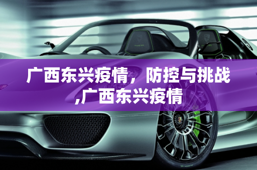 广西东兴疫情，防控与挑战,广西东兴疫情