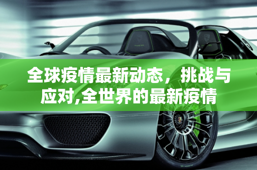 全球疫情最新动态，挑战与应对,全世界的最新疫情