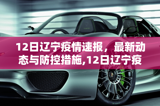12日辽宁疫情速报，最新动态与防控措施,12日辽宁疫情速报
