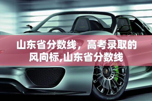 山东省分数线，高考录取的风向标,山东省分数线
