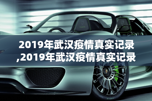 2019年武汉疫情真实记录,2019年武汉疫情真实记录