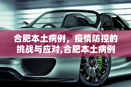 合肥本土病例，疫情防控的挑战与应对,合肥本土病例